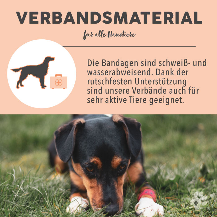 paws-patch-selbsthaftende-verb-nde-f-r-hunde-6-st-ck-bunt image 6